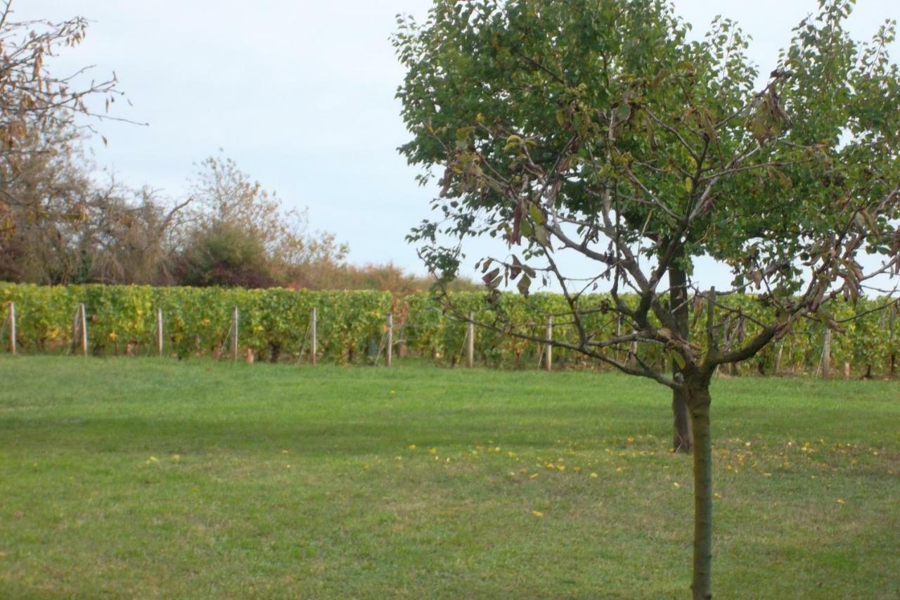 Armalou Bed & Breakfast Pouilly-sur-Loire Eksteriør bilde
