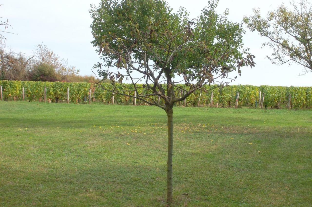 Armalou Bed & Breakfast Pouilly-sur-Loire Eksteriør bilde