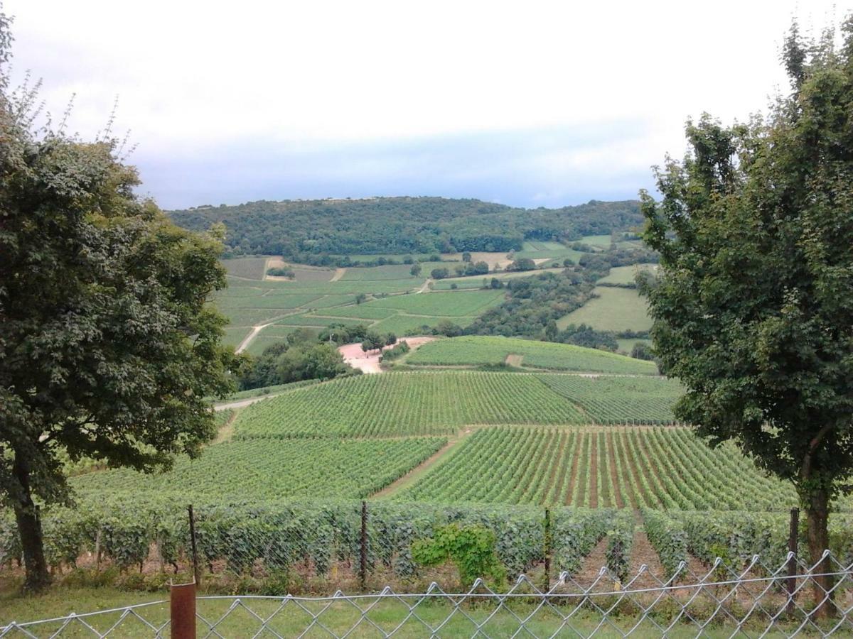 Armalou Bed & Breakfast Pouilly-sur-Loire Eksteriør bilde